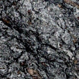 Asterix Cosmos Granite